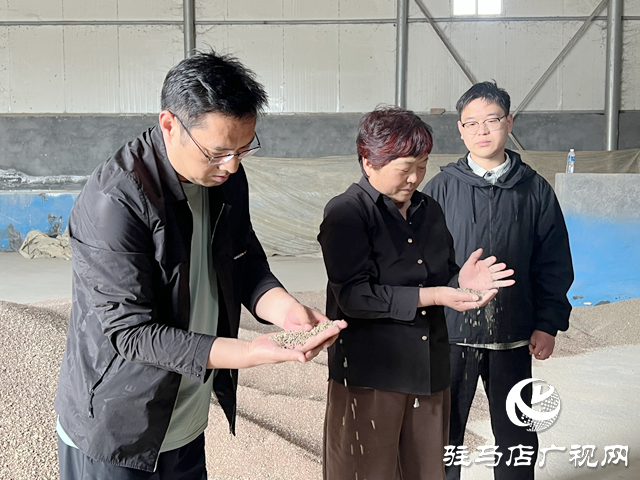 上蔡新农人林卡：黑小麦磨出金色未来 打造绿色产业链助农奔小康