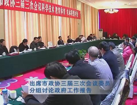 武国定出席市政协三届三次会议委员分组讨论政府工作报告