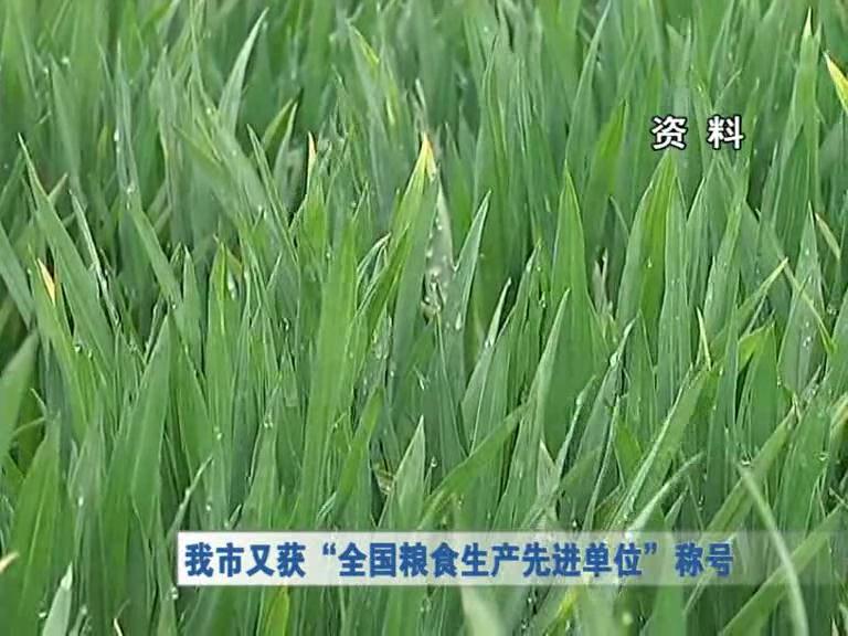 我市又获“全国粮食生产先进单位”称号