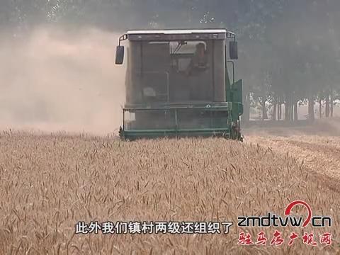 我市各地趁天搶時 加快麥收進度