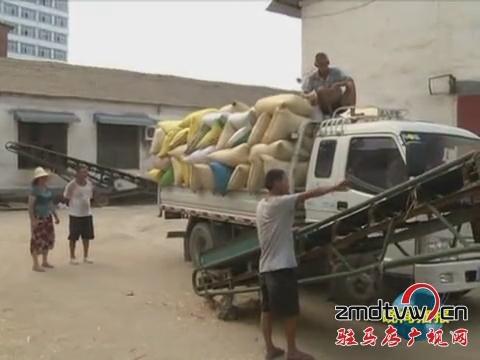 汝南：农民喜售丰收粮