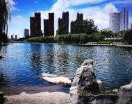 请用一切美好的词语来形容Ta